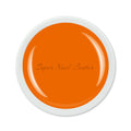 Foto di color gel Nektarine da 5ml con sfondo bianco, marchio SNC Super Nail Center