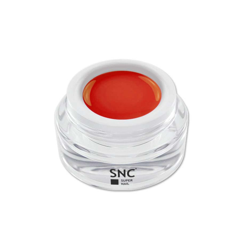Foto di color gel Dusty Red in barattolino di vetro da 5ml con sfondo bianco, marchio SNC Super Nail Center