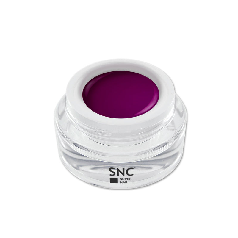 Foto di color gel Prune in barattolino di vetro da 5ml con sfondo bianco, marchio SNC Super Nail Center